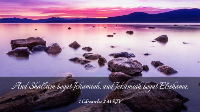 Picture 03 - 1 Chronicles 2:41 KJV Desktop Wallpaper - And Shallum begat Jekamiah, and Jekamiah begat - Desktop Bible Verse Wallpaper