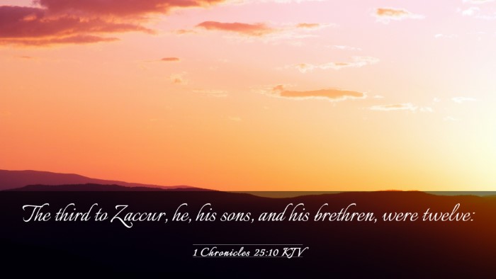 Picture 03 - 1 Chronicles 25:10 KJV Desktop Wallpaper - The third to Zaccur, he, his sons, and his - Desktop Bible Verse Wallpaper