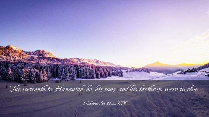 Picture 03 - 1 Chronicles 25:23 KJV Desktop Wallpaper - The sixteenth to Hananiah, he, his sons, and his - Desktop Bible Verse Wallpaper