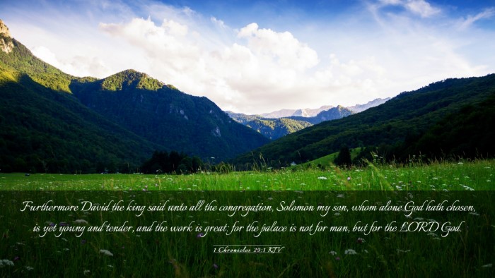 Picture 03 - 1 Chronicles 29:1 KJV Desktop Wallpaper - Furthermore David the king said unto all the - Desktop Bible Verse Wallpaper