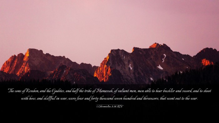Picture 03 - 1 Chronicles 5:18 KJV Desktop Wallpaper - The sons of Reuben, and the Gadites, and half the - Desktop Bible Verse Wallpaper