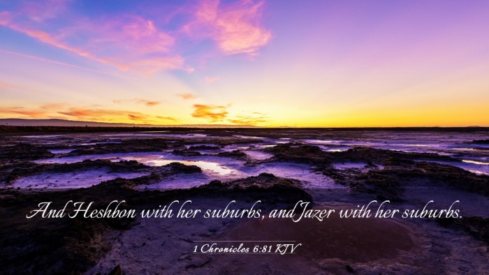 Picture 03 - 1 Chronicles 6:81 KJV Desktop Wallpaper - And Heshbon with her suburbs, and Jazer with her - Desktop Bible Verse Wallpaper