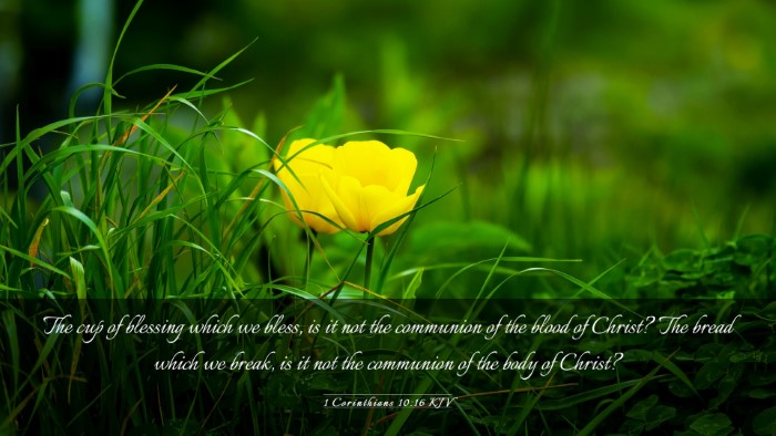 Picture 03 - 1 Corinthians 10:16 KJV Desktop Wallpaper - The cup of blessing which we bless, is it not the - Desktop Bible Verse Wallpaper