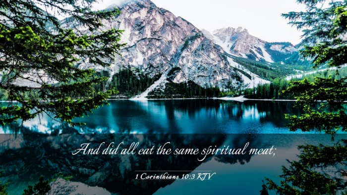 Picture 03 - 1 Corinthians 10:3 KJV Desktop Wallpaper - And did all eat the same spiritual - Desktop Bible Verse Wallpaper