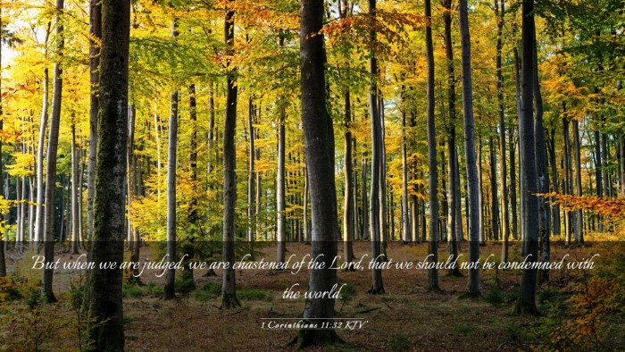 Picture 03 - 1 Corinthians 11:32 KJV Desktop Wallpaper - But when we are judged, we are chastened of the - Desktop Bible Verse Wallpaper