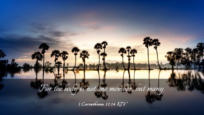 Picture 03 - 1 Corinthians 12:14 KJV Desktop Wallpaper - For the body is not one member, but - Desktop Bible Verse Wallpaper