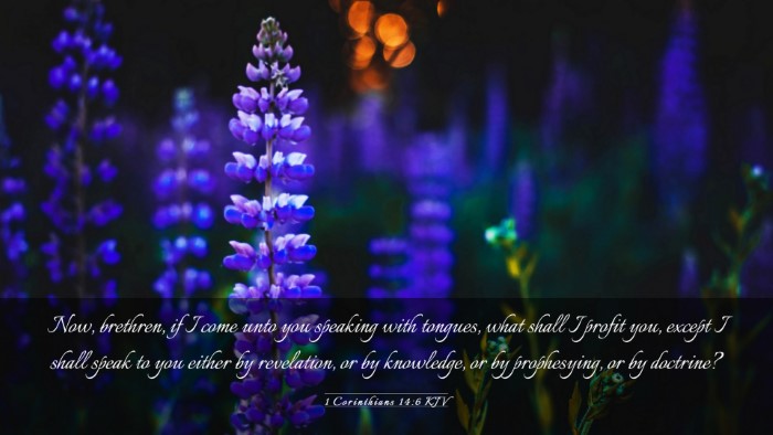 Picture 03 - 1 Corinthians 14:6 KJV Desktop Wallpaper - Now, brethren, if I come unto you speaking with - Desktop Bible Verse Wallpaper