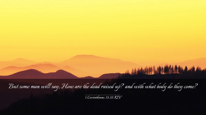 Picture 03 - 1 Corinthians 15:35 KJV Desktop Wallpaper - But some man will say, How are the dead raised - Desktop Bible Verse Wallpaper