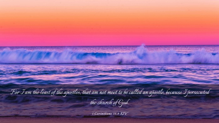 Picture 03 - 1 Corinthians 15:9 KJV Desktop Wallpaper - For I am the least of the apostles, that am not - Desktop Bible Verse Wallpaper