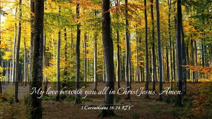 Picture 03 - 1 Corinthians 16:24 KJV Desktop Wallpaper - My love be with you all in Christ Jesus. - Desktop Bible Verse Wallpaper