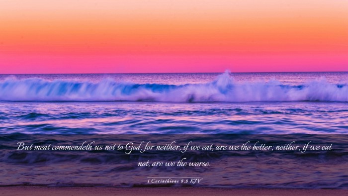 Picture 03 - 1 Corinthians 8:8 KJV Desktop Wallpaper - But meat commendeth us not to God: for neither, - Desktop Bible Verse Wallpaper
