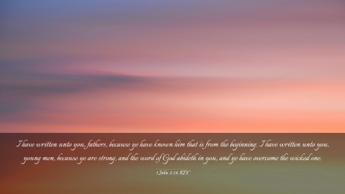 Picture 03 - 1 John 2:14 KJV Desktop Wallpaper - I have written unto you, fathers, because ye have - Desktop Bible Verse Wallpaper