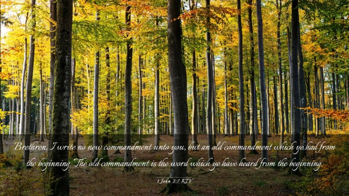 Picture 03 - 1 John 2:7 KJV Desktop Wallpaper - Brethren, I write no new commandment unto you, - Desktop Bible Verse Wallpaper