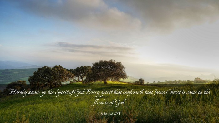 Picture 03 - 1 John 4:2 KJV Desktop Wallpaper - Hereby know ye the Spirit of God: Every spirit - Desktop Bible Verse Wallpaper