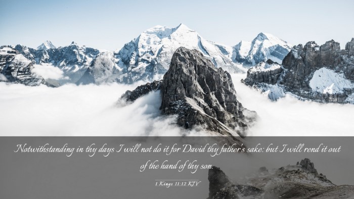 Picture 03 - 1 Kings 11:12 KJV Desktop Wallpaper - Notwithstanding in thy days I will not do it for - Desktop Bible Verse Wallpaper