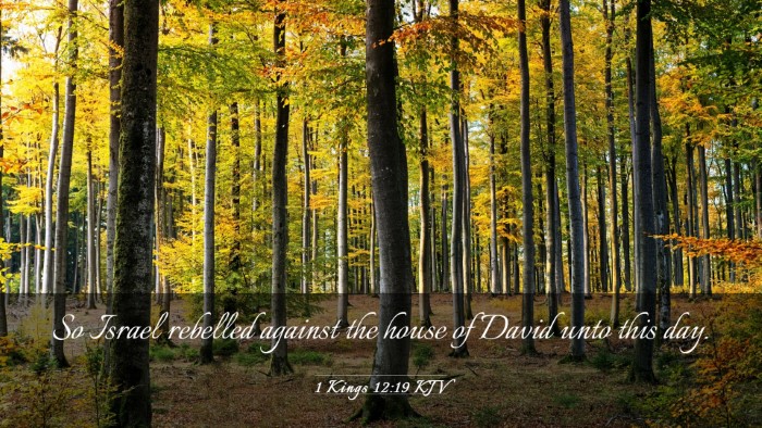 Picture 03 - 1 Kings 12:19 KJV Desktop Wallpaper - So Israel rebelled against the house of David - Desktop Bible Verse Wallpaper