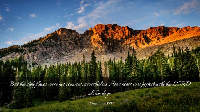 Picture 03 - 1 Kings 15:14 KJV Desktop Wallpaper - But the high places were not removed: - Desktop Bible Verse Wallpaper