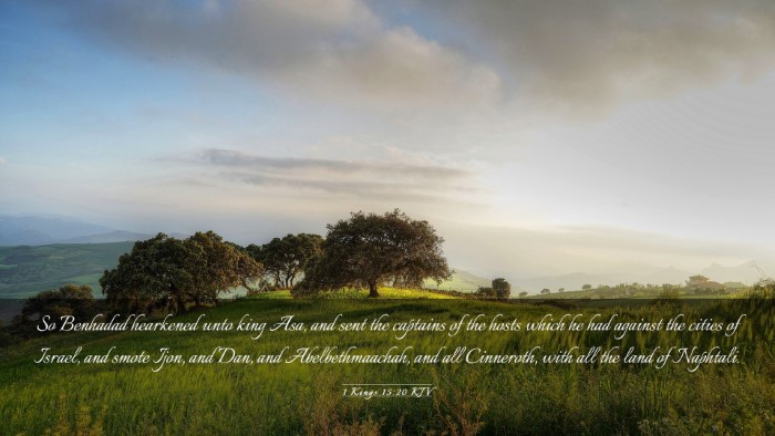 Picture 03 - 1 Kings 15:20 KJV Desktop Wallpaper - So Benhadad hearkened unto king Asa, and sent the - Desktop Bible Verse Wallpaper