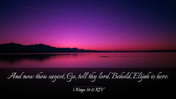 Picture 03 - 1 Kings 18:11 KJV Desktop Wallpaper - And now thou sayest, Go, tell thy lord, Behold, - Desktop Bible Verse Wallpaper