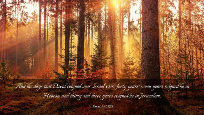 Picture 03 - 1 Kings 2:11 KJV Desktop Wallpaper - And the days that David reigned over Israel were - Desktop Bible Verse Wallpaper
