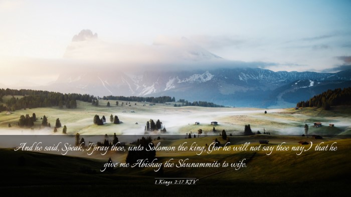 Picture 03 - 1 Kings 2:17 KJV Desktop Wallpaper - And he said, Speak, I pray thee, unto Solomon the - Desktop Bible Verse Wallpaper