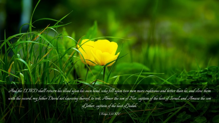 Picture 03 - 1 Kings 2:32 KJV Desktop Wallpaper - And the LORD shall return his blood upon his own - Desktop Bible Verse Wallpaper