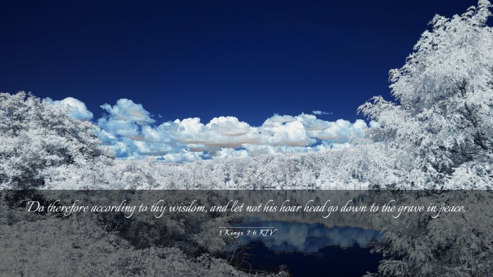 Picture 03 - 1 Kings 2:6 KJV Desktop Wallpaper - Do therefore according to thy wisdom, and let not - Desktop Bible Verse Wallpaper