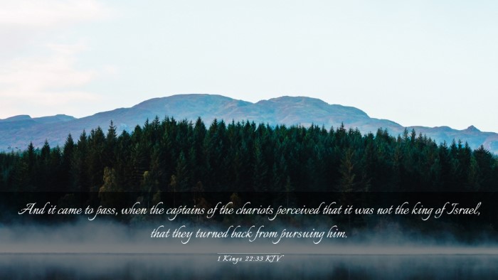 Picture 03 - 1 Kings 22:33 KJV Desktop Wallpaper - And it came to pass, when the captains of the - Desktop Bible Verse Wallpaper