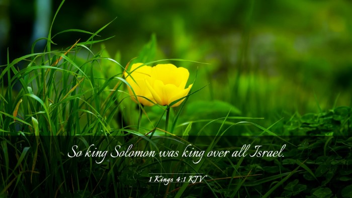 Picture 03 - 1 Kings 4:1 KJV Desktop Wallpaper - So king Solomon was king over all - Desktop Bible Verse Wallpaper