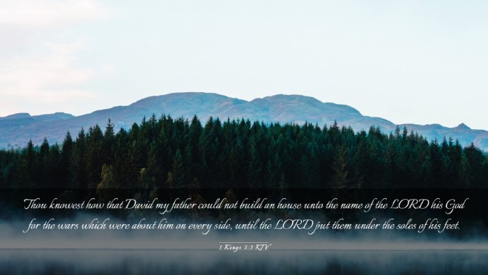 Picture 03 - 1 Kings 5:3 KJV Desktop Wallpaper - Thou knowest how that David my father could not - Desktop Bible Verse Wallpaper