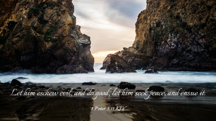 Picture 03 - 1 Peter 3:11 KJV Desktop Wallpaper - Let him eschew evil, and do good; let him seek - Desktop Bible Verse Wallpaper