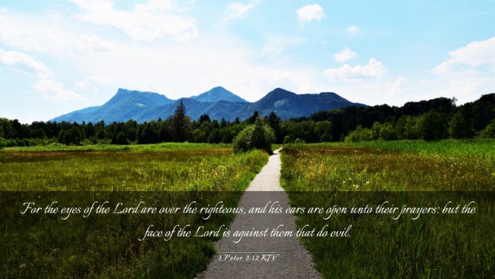 Picture 03 - 1 Peter 3:12 KJV Desktop Wallpaper - For the eyes of the Lord are over the righteous, - Desktop Bible Verse Wallpaper