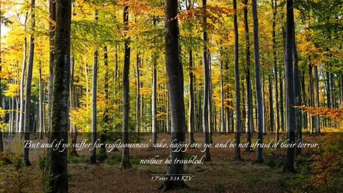 Picture 03 - 1 Peter 3:14 KJV Desktop Wallpaper - But and if ye suffer for righteousness' sake, - Desktop Bible Verse Wallpaper