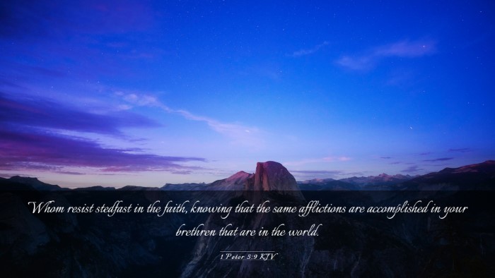 Picture 03 - 1 Peter 5:9 KJV Desktop Wallpaper - Whom resist stedfast in the faith, knowing that - Desktop Bible Verse Wallpaper