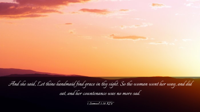 Picture 03 - 1 Samuel 1:18 KJV Desktop Wallpaper - And she said, Let thine handmaid find grace in - Desktop Bible Verse Wallpaper