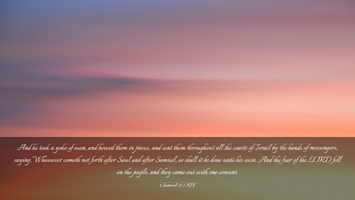 Picture 03 - 1 Samuel 11:7 KJV Desktop Wallpaper - And he took a yoke of oxen, and hewed them in - Desktop Bible Verse Wallpaper