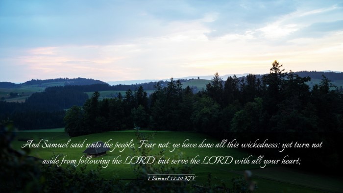 Picture 03 - 1 Samuel 12:20 KJV Desktop Wallpaper - And Samuel said unto the people, Fear not: ye - Desktop Bible Verse Wallpaper
