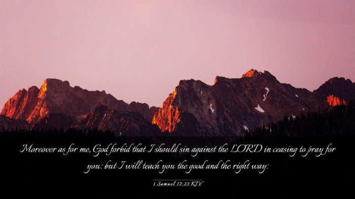 Picture 03 - 1 Samuel 12:23 KJV Desktop Wallpaper - Moreover as for me, God forbid that I should sin - Desktop Bible Verse Wallpaper
