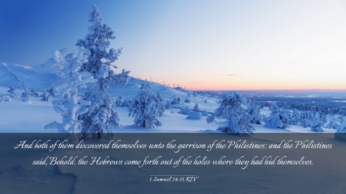 Picture 03 - 1 Samuel 14:11 KJV Desktop Wallpaper - And both of them discovered themselves unto the - Desktop Bible Verse Wallpaper