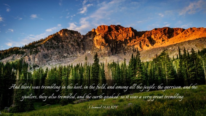 Picture 03 - 1 Samuel 14:15 KJV Desktop Wallpaper - And there was trembling in the host, in the - Desktop Bible Verse Wallpaper