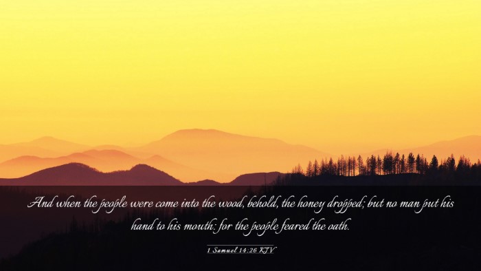 Picture 03 - 1 Samuel 14:26 KJV Desktop Wallpaper - And when the people were come into the wood, - Desktop Bible Verse Wallpaper