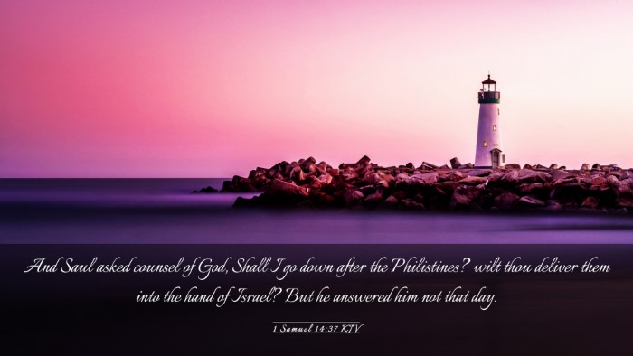 Picture 03 - 1 Samuel 14:37 KJV Desktop Wallpaper - And Saul asked counsel of God, Shall I go down - Desktop Bible Verse Wallpaper