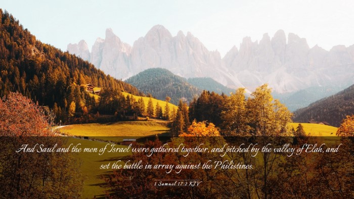 Picture 03 - 1 Samuel 17:2 KJV Desktop Wallpaper - And Saul and the men of Israel were gathered - Desktop Bible Verse Wallpaper