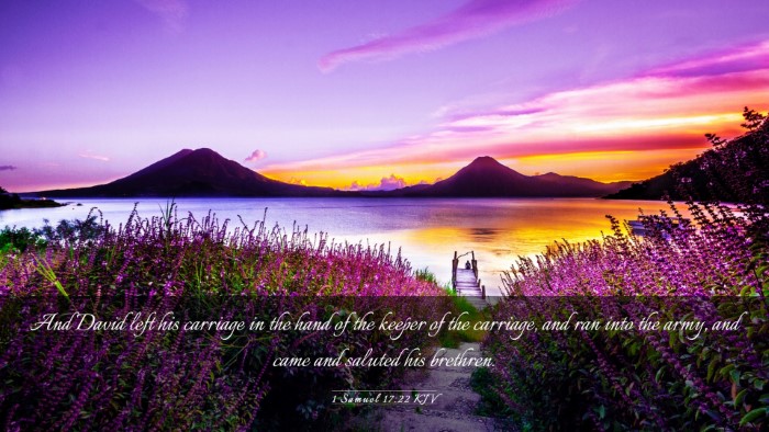Picture 03 - 1 Samuel 17:22 KJV Desktop Wallpaper - And David left his carriage in the hand of the - Desktop Bible Verse Wallpaper