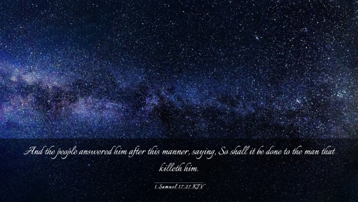 Picture 03 - 1 Samuel 17:27 KJV Desktop Wallpaper - And the people answered him after this manner, - Desktop Bible Verse Wallpaper