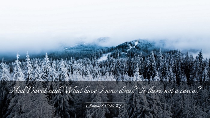 Picture 03 - 1 Samuel 17:29 KJV Desktop Wallpaper - And David said, What have I now done? Is there - Desktop Bible Verse Wallpaper