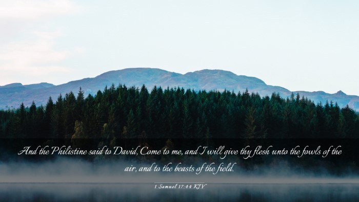 Picture 03 - 1 Samuel 17:44 KJV Desktop Wallpaper - And the Philistine said to David, Come to me, and - Desktop Bible Verse Wallpaper