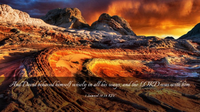 Picture 03 - 1 Samuel 18:14 KJV Desktop Wallpaper - And David behaved himself wisely in all his ways; - Desktop Bible Verse Wallpaper