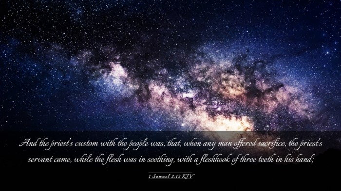 Picture 03 - 1 Samuel 2:13 KJV Desktop Wallpaper - And the priest's custom with the people was, - Desktop Bible Verse Wallpaper