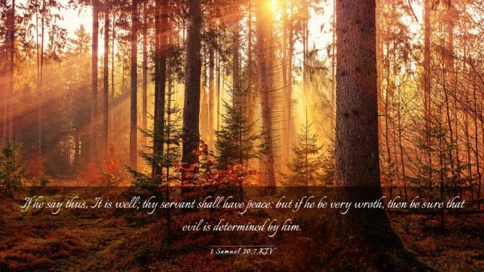 Picture 03 - 1 Samuel 20:7 KJV Desktop Wallpaper - If he say thus, It is well; thy servant shall - Desktop Bible Verse Wallpaper